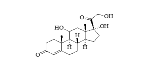 screenshot 2025 12 12 121911