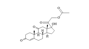 screenshot 2025 12 12 122233