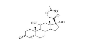 screenshot 2025 12 12 122320