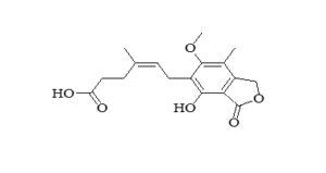 screenshot 2025 12 12 171827