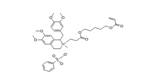 screenshot 2025 12 12 175619