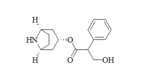 screenshot 2025 12 12 175700