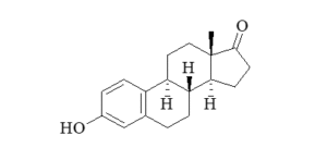 screenshot 2025 12 13 112708