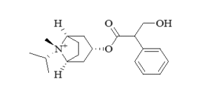 screenshot 2025 12 13 122723