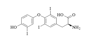 screenshot 2025 12 13 123101