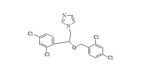 screenshot 2025 12 13 123849